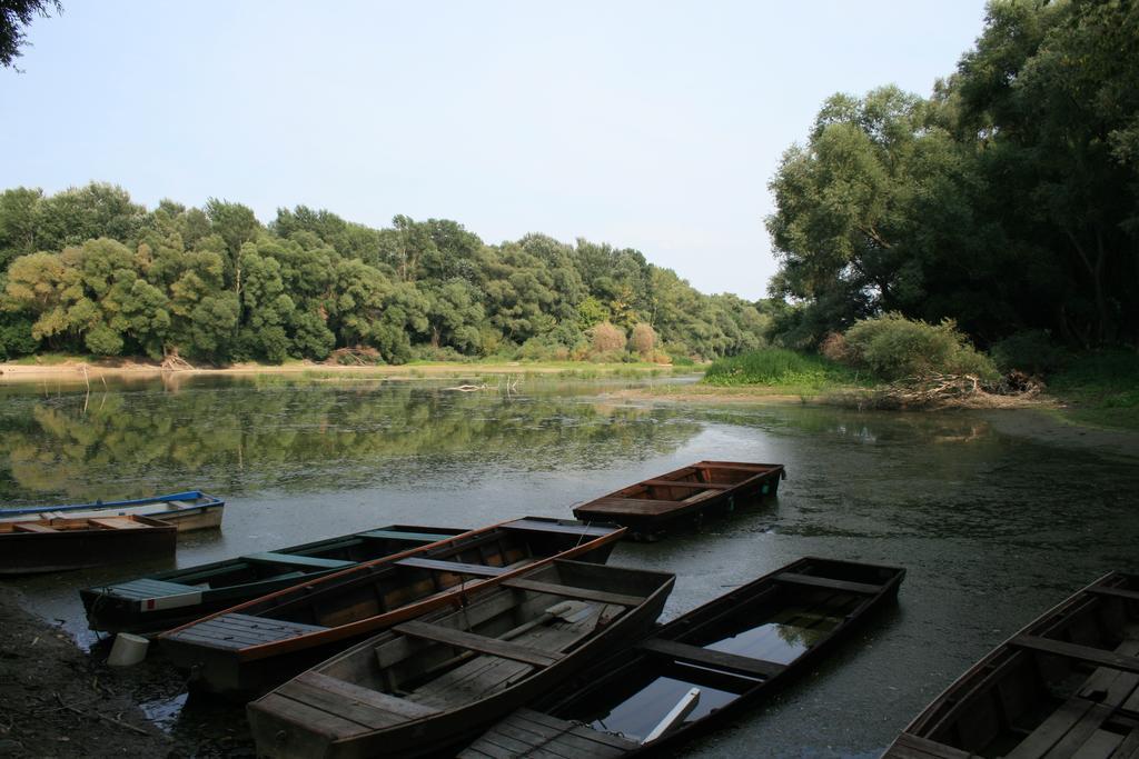 Fontana Vendégház Hotel Tát Kültér fotó