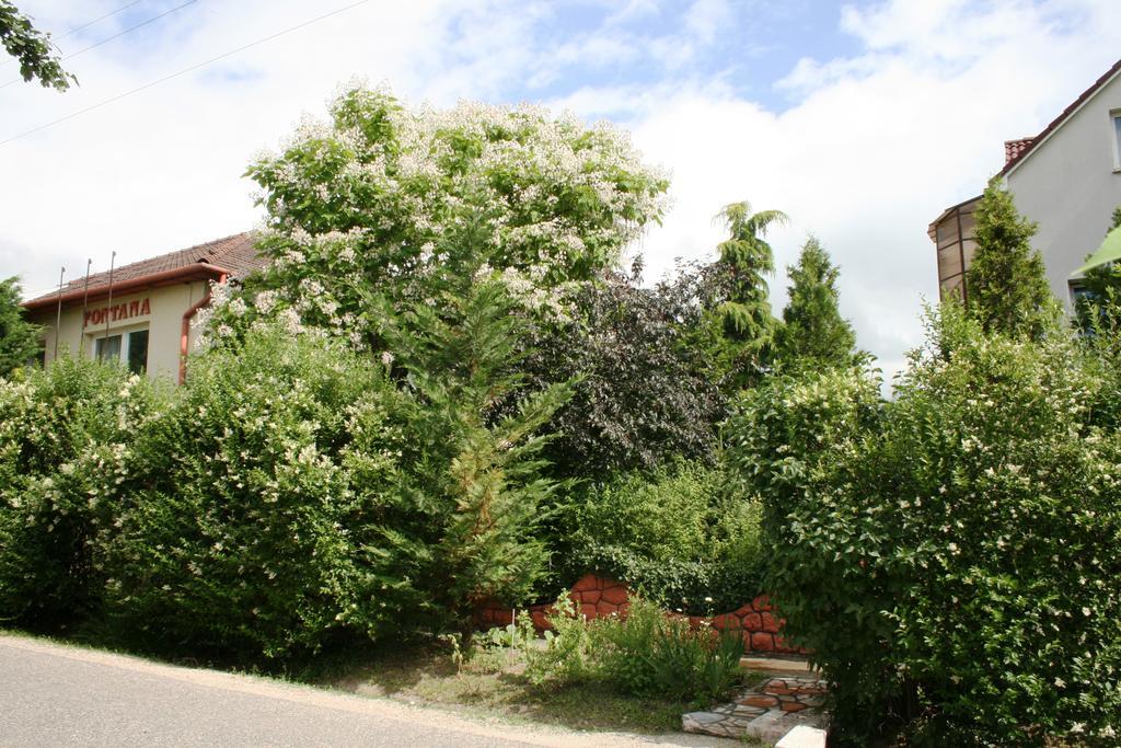 Fontana Vendégház Hotel Tát Kültér fotó